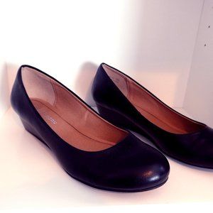 Wedge pump 1/2-2 inch wedge pump